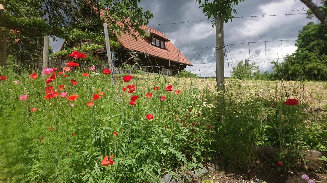 Gaestehaus Der Gamser Winzerstube Bad Gams Esterno foto